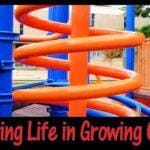 Live in Growing Orbits