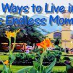 Live in This Endless Moment