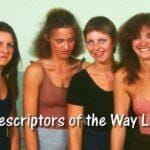 four noble truths - 4 Descriptors of the Way Life Is