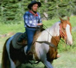 horse