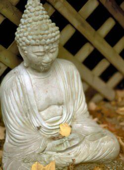 Sitting with compassion