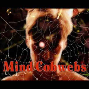 mind cobwebs 1