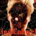 mind cobwebs