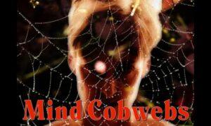 mind cobwebs