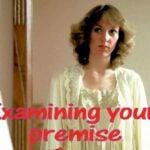 Examining Your Premise