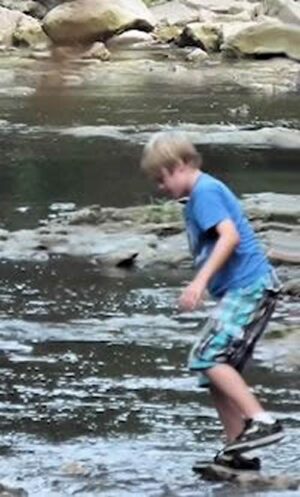 one step e1727206134127