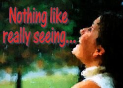 nothing like really seeing