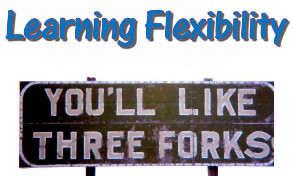 Learning Flexibility
