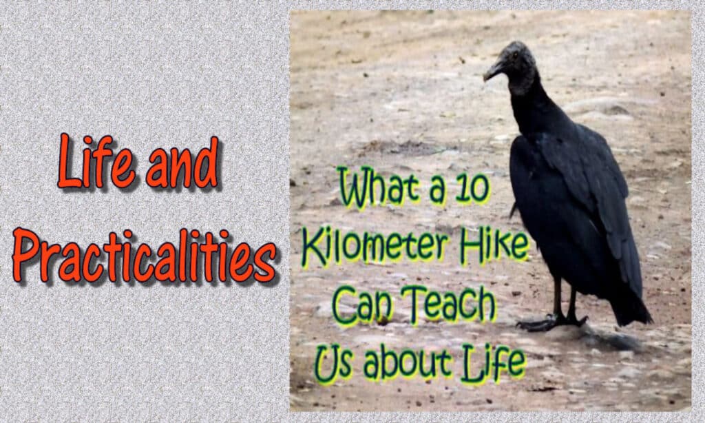 Life and Practicalities