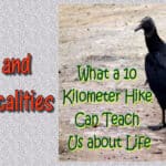 Life and Practicalities