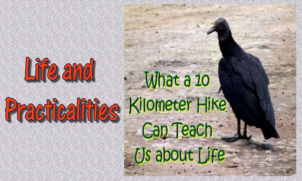 Life and Practicalities