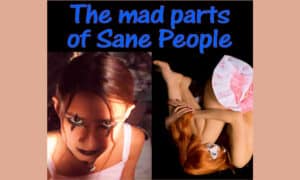 The Mad Parts of Sane People