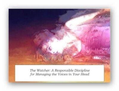 Watcher 480